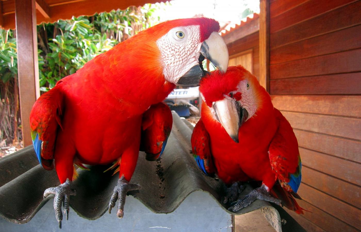 Devils Island Cruise Port