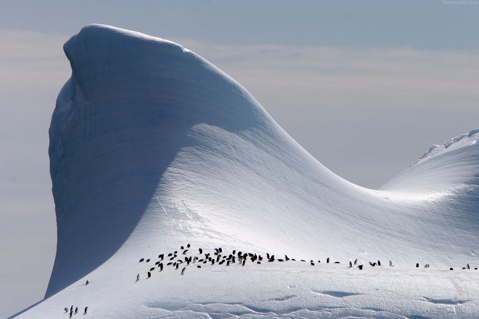 Elephant Island, South Shetland Islands