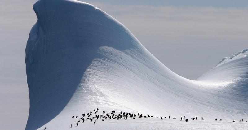 Elephant Island, South Shetland Islands