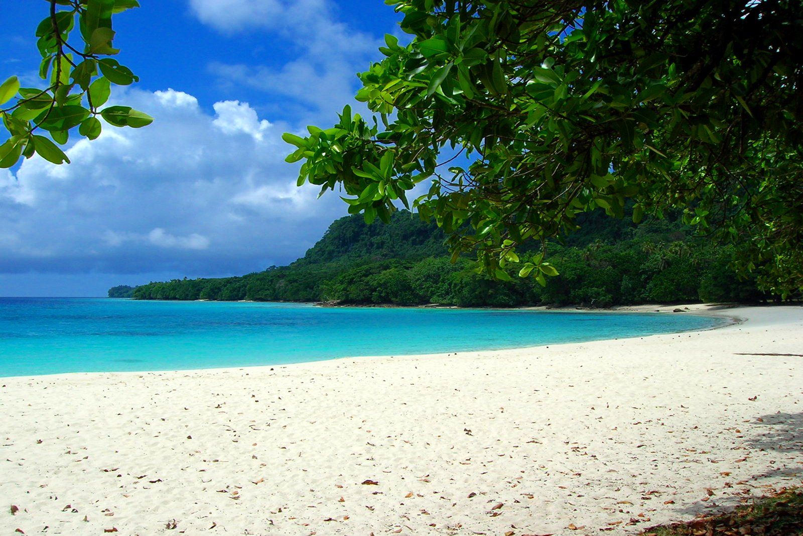 Champagne Bay, Espiritu Santo, Vanuatu Image 1