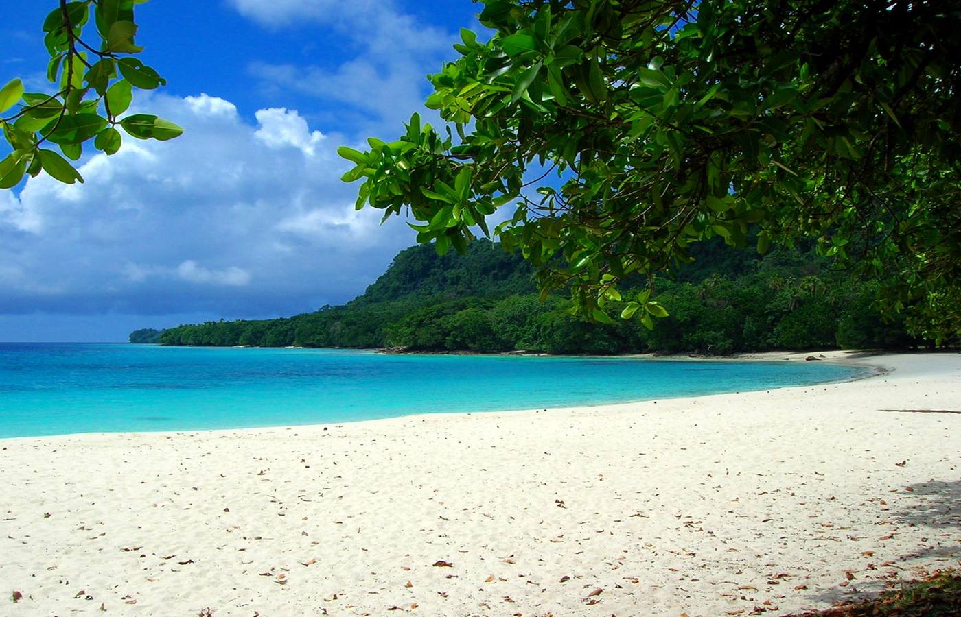 Champagne Bay Cruise Port