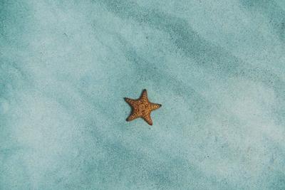 Khor Fakkan Cruise Port - Kalba Beach