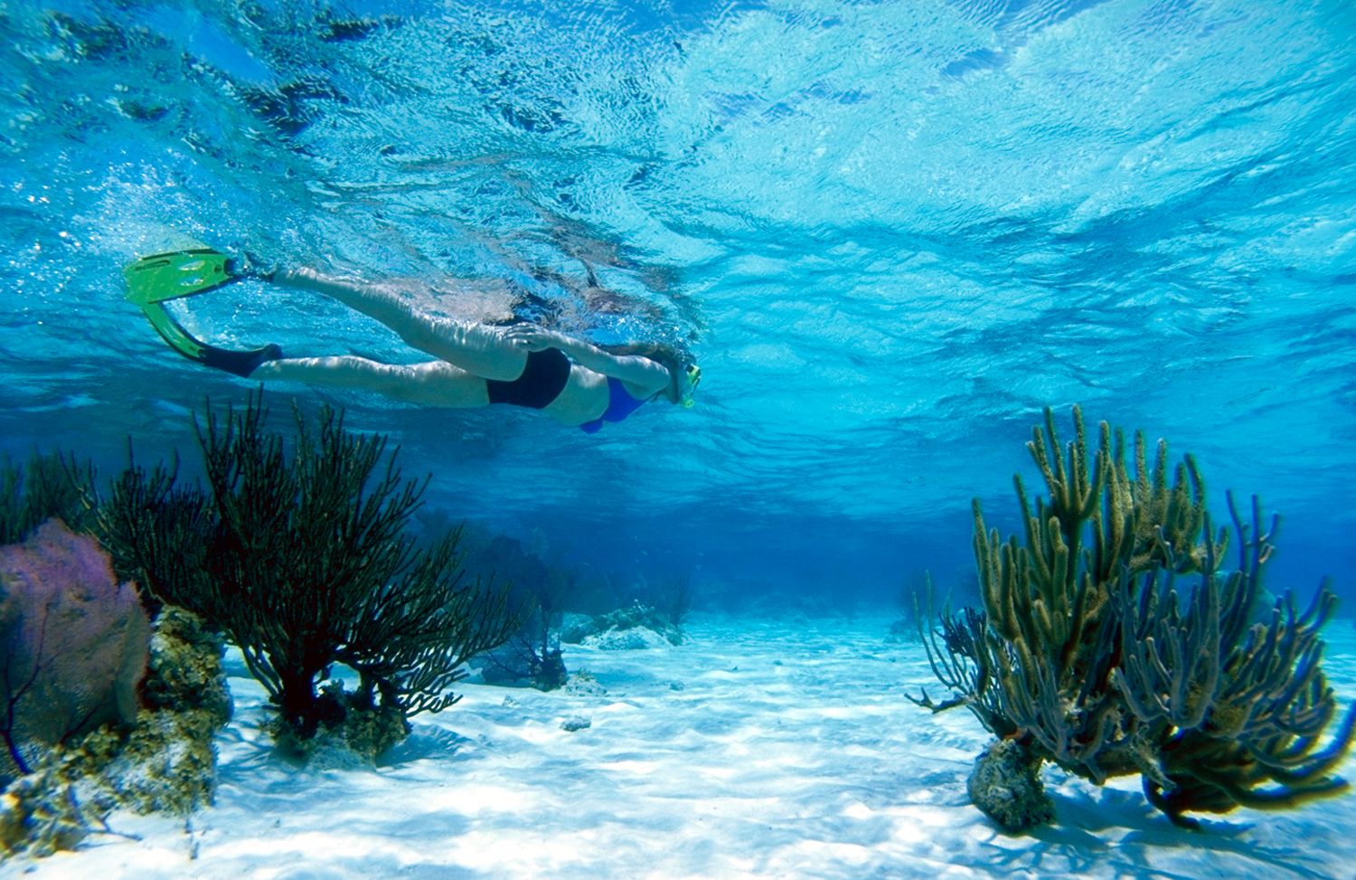 Belize City, Belize - Scuba Diving & Snorkeling