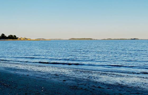 Carson Beach