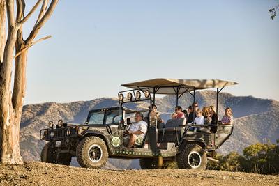 Catalina Island Cruise Port - Jeep Island Tour