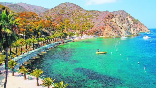 Catalina Island Cruise Port - Boat Tours