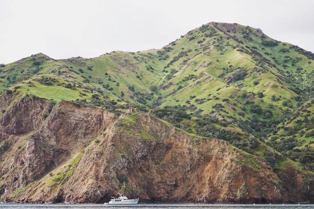 Catalina Island Cruise Port - Hiking