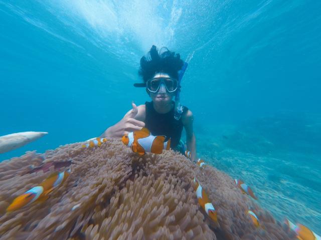 George Town Cruise Port - Snorkeling
