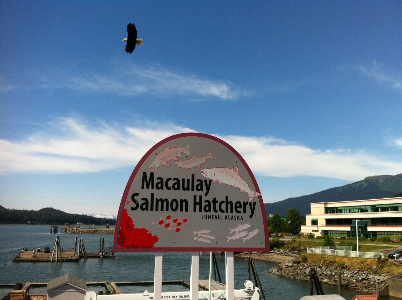Juneau, Alaska - Macaulay Salmon Hatchery