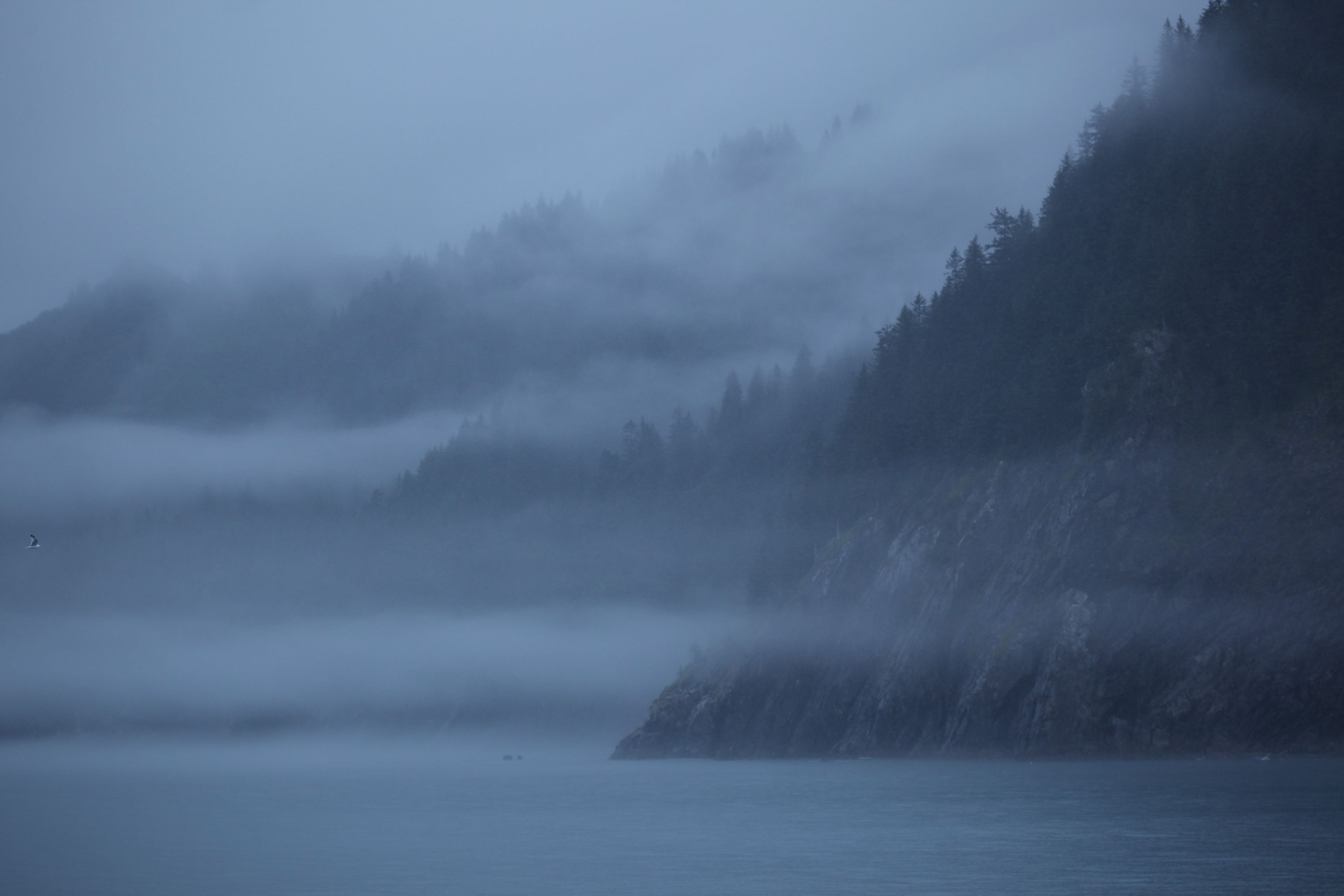 Ketchikan, Alaska - Misty Fjords National Monument