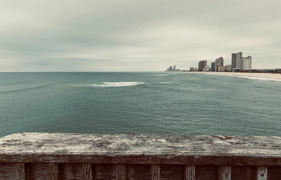 Gulf Shores