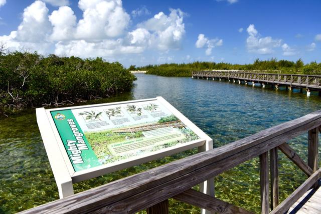 Nassau Cruise Port - Ecosystem Tours
