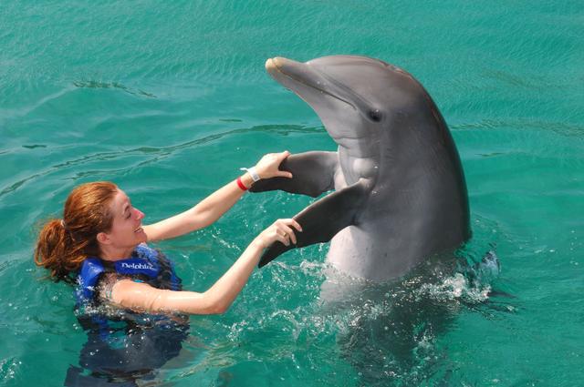 Ocho Rios Cruise Port - Dolphin Cove