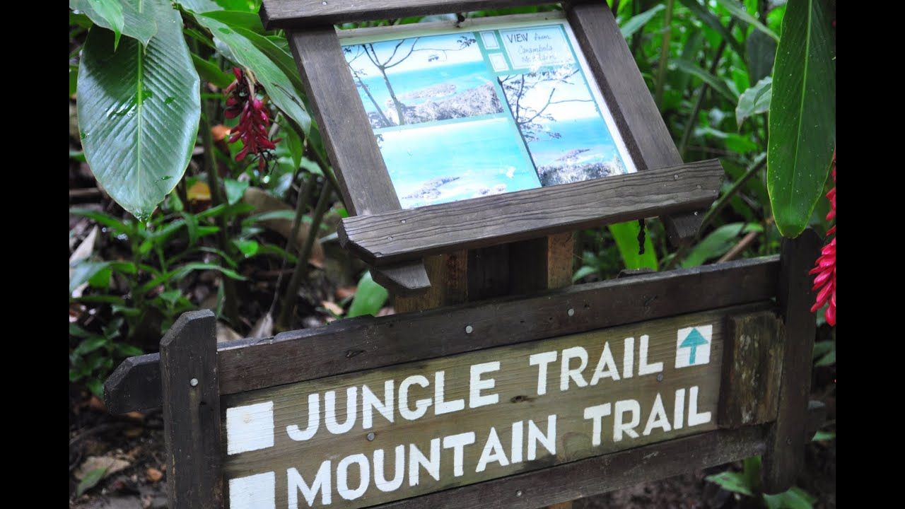 Coxen Hole, Roatan, Bay Islands, Honduras - Carambola Botanical Gardens