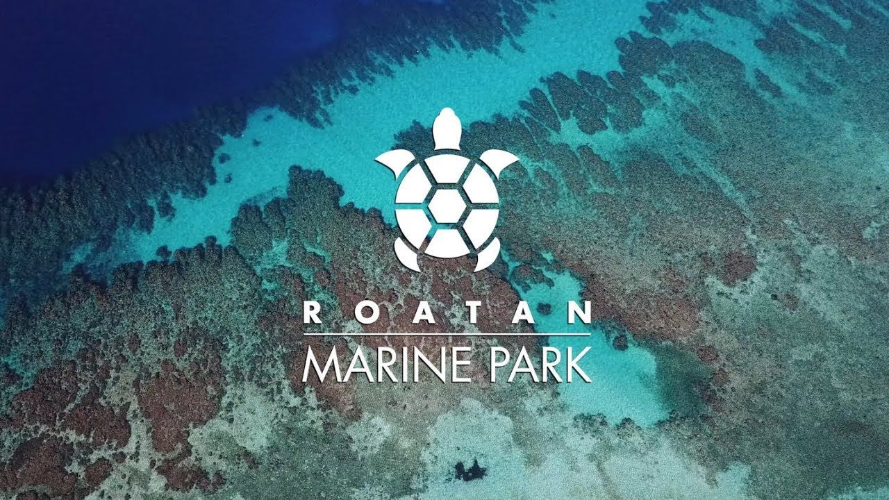 Coxen Hole, Roatan, Bay Islands, Honduras - Roatan Marine Park