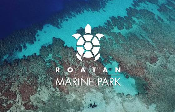 Roatan Marine Park