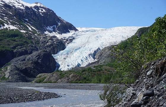 Exit Glacier