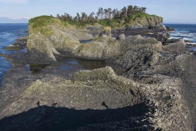 Sitka Cruise Port - Saint Lazaria National Wildlife Refuge (by boat)