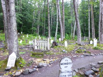 Skagway Cruise Port - Gold Rush Cemetery