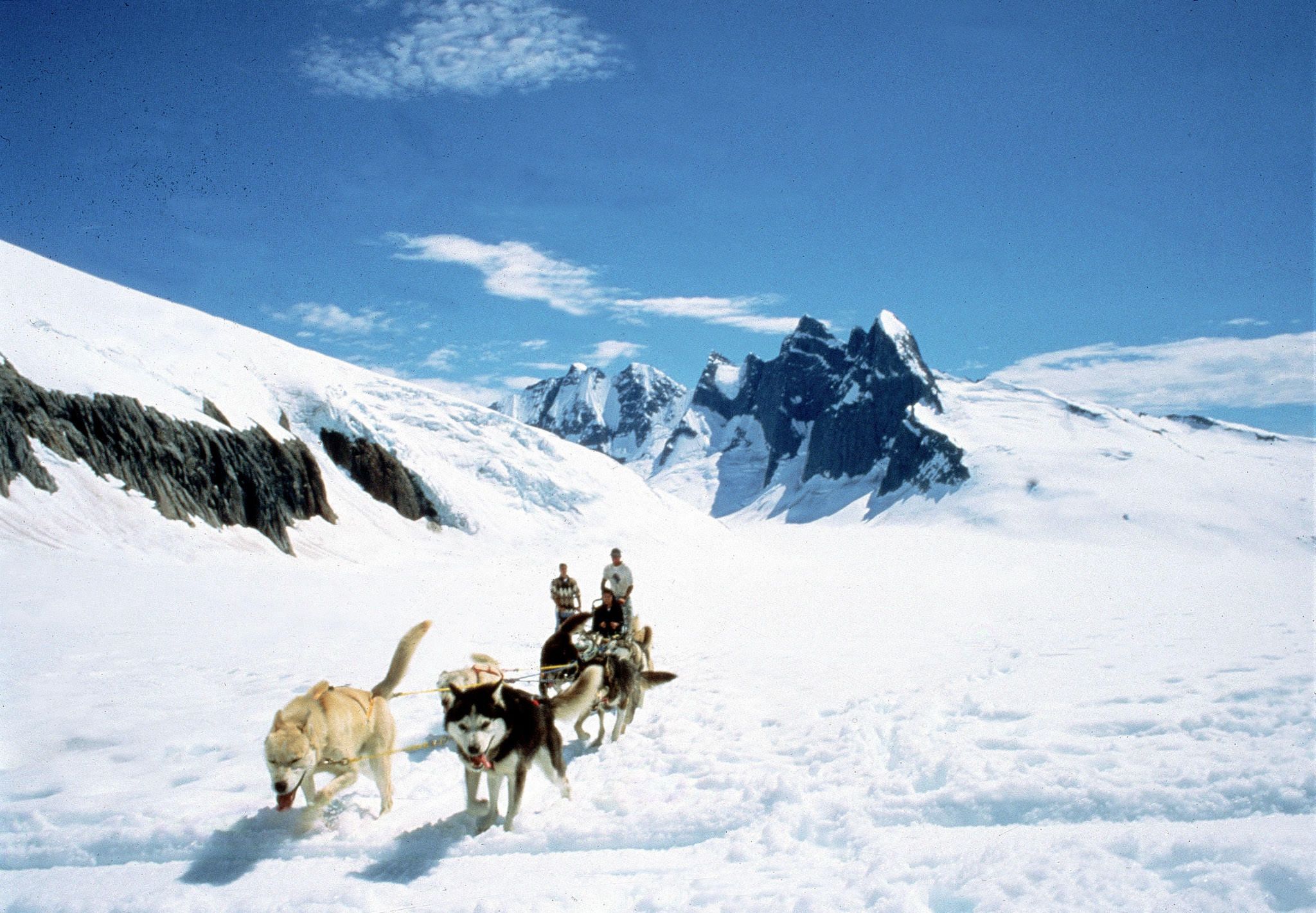 Skagway, Alaska - Dog Sledding
