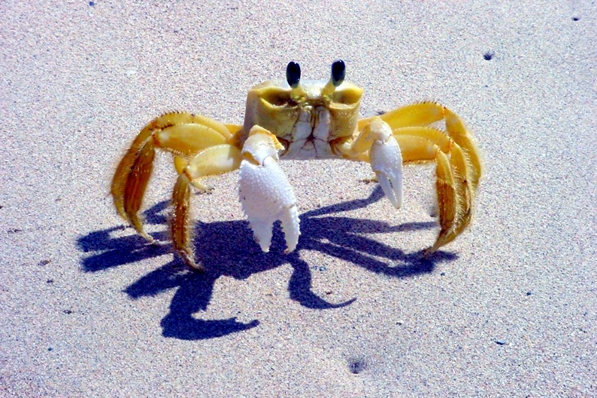 Fort-De-France, Martinique