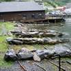 Geiranger