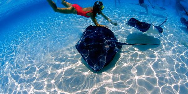 George Town, Grand Cayman Image 1
