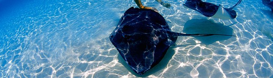 George Town, Grand Cayman, Cayman Islands