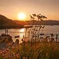 Guernsey, Channel Islands