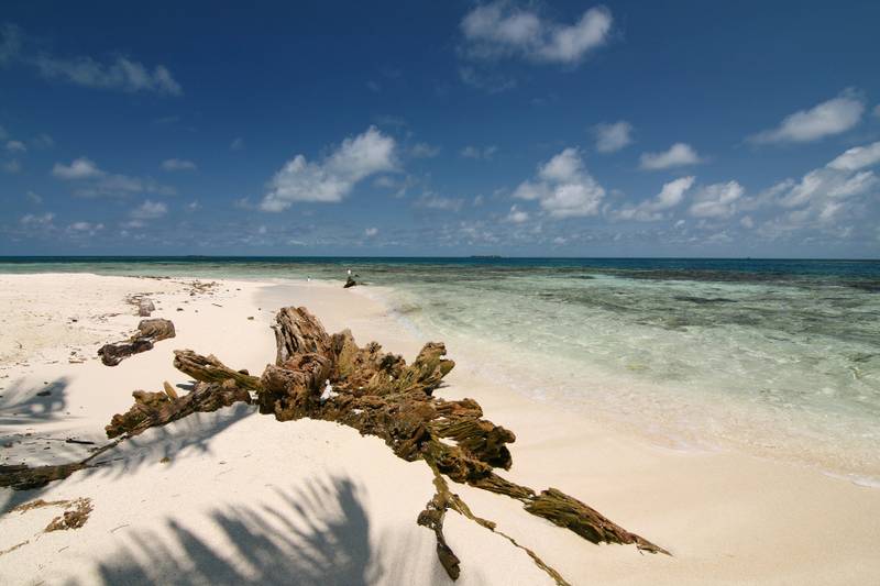 Harvest Caye, Belize Image 1