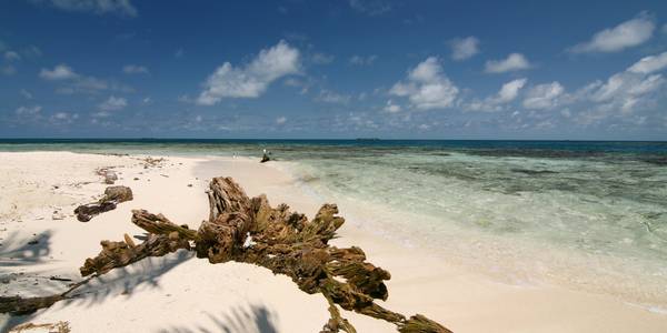 Harvest Caye, Belize Image 1