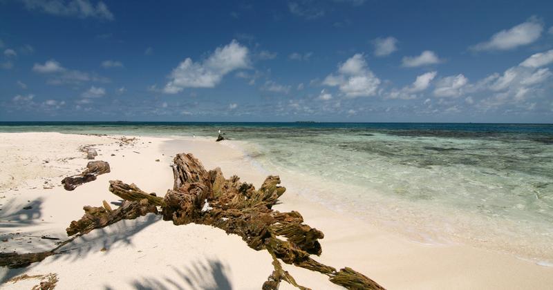 Harvest Caye, Belize