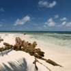 Harvest Caye