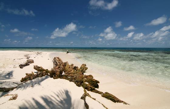 Harvest Caye cruise port