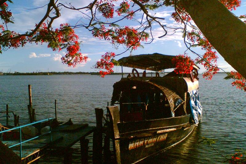 Kochi, India Image 1