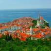 Koper