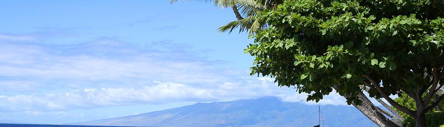 Lahaina, Maui, Hawaii, United States