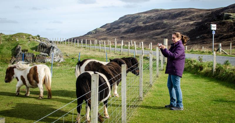 Lerwick, Shetland Islands, Scotland