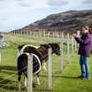 Lerwick