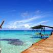 Moorea