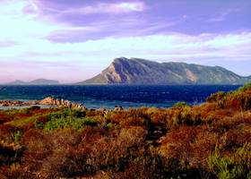 Olbia, Sardinia cruise port
