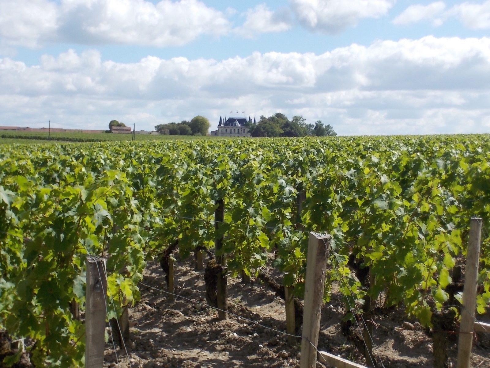 Pauillac