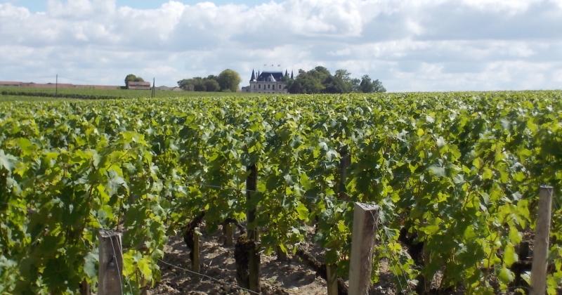 Pauillac