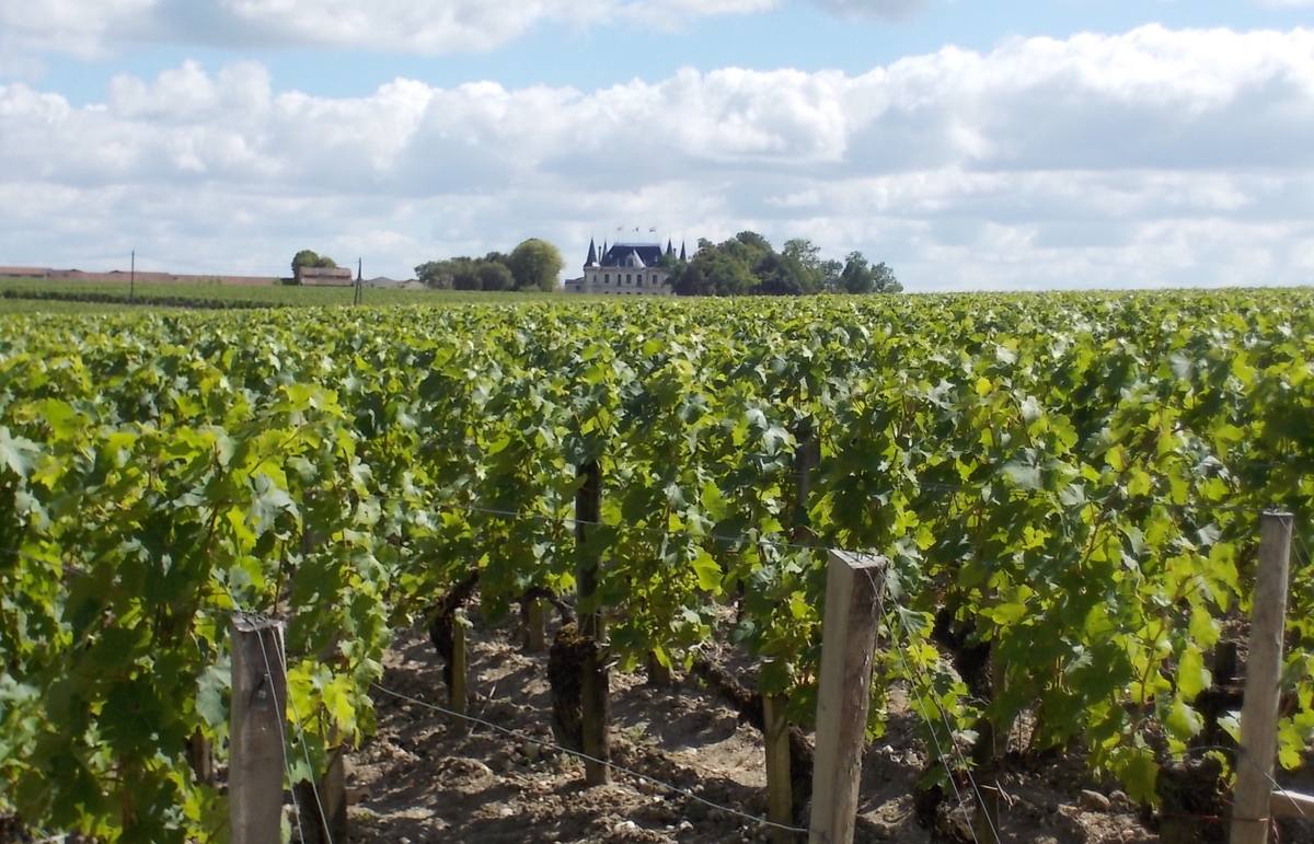 Pauillac cruise port