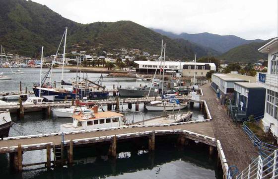 Picton cruise port