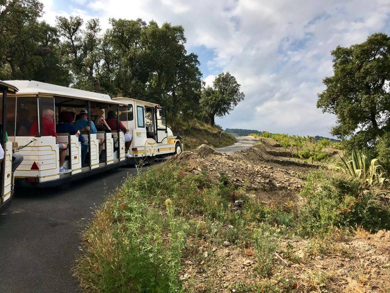 Port Vendres Cruise Port