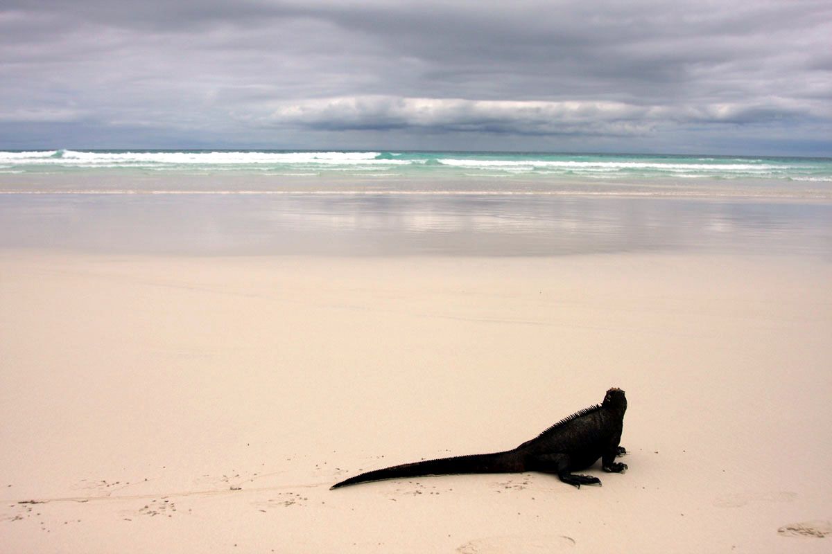 Puerto Ayora, Santa Cruz, Galapagos
