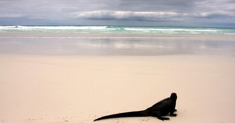 Puerto Ayora, Santa Cruz, Galapagos