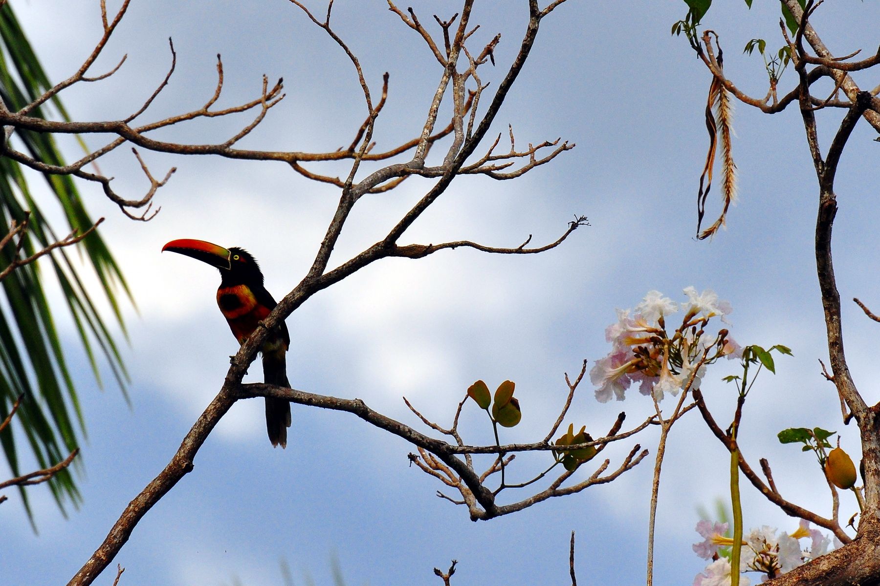 Puerto Caldera, Costa Rica