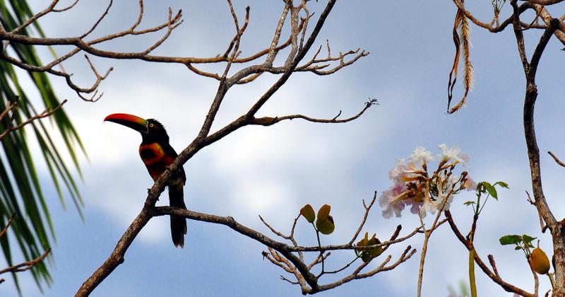 Puerto Caldera, Costa Rica